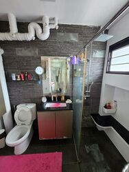 Blk 243 Pasir Ris Street 21 (Pasir Ris), HDB Executive #447265701